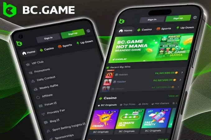 Discover the Excitement of Official Online Casino BC.Game
