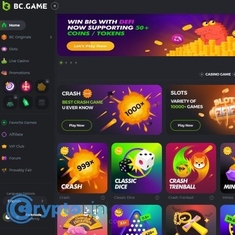 Experience the Thrill of Casino BCStavka -724789636 Experience the Thrill of Casino BCStavka -724789636